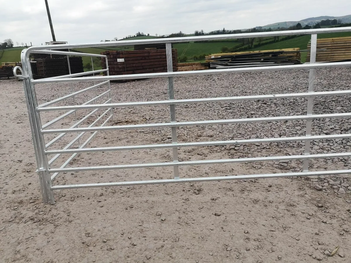 Sheep feed barriers, dividing gates and penning - Image 4