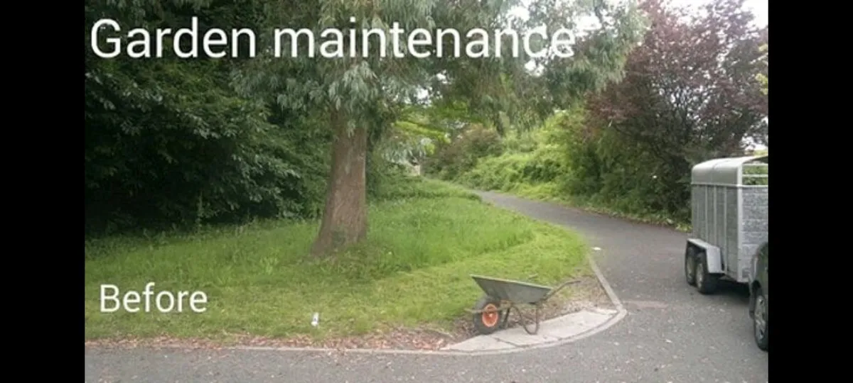 Handyman, home and garden maintenance