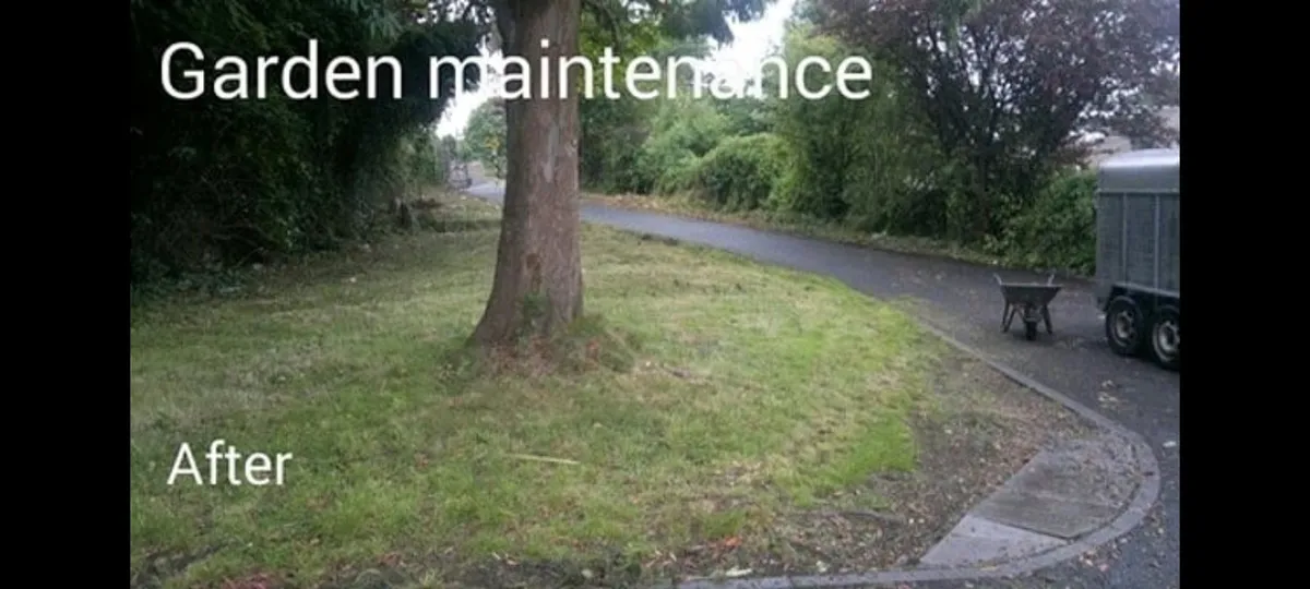 Handyman, home and garden maintenance - Image 2