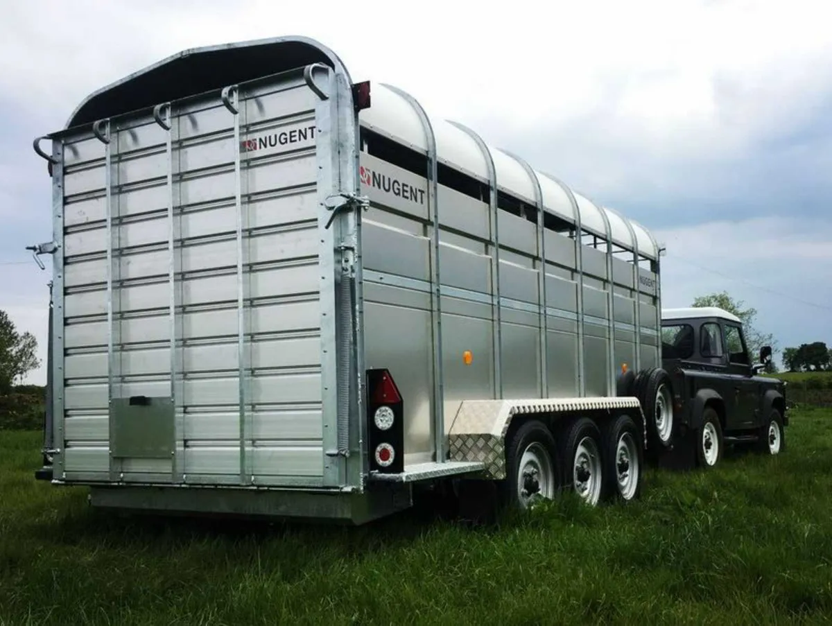 New Nugent 14x6 Livestock c/w Folding Sheep Decks - Image 3