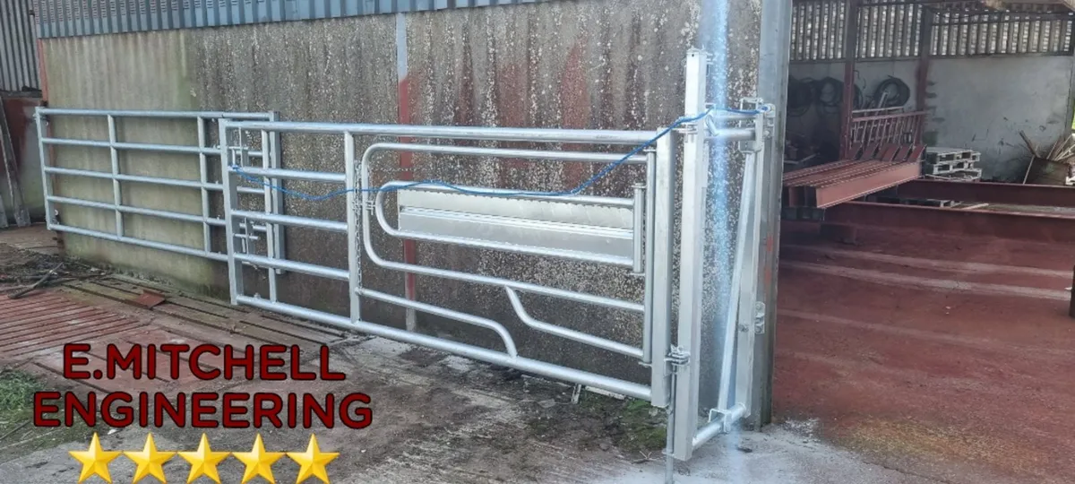 Heavy duty 3&1 calving gates. - Image 2
