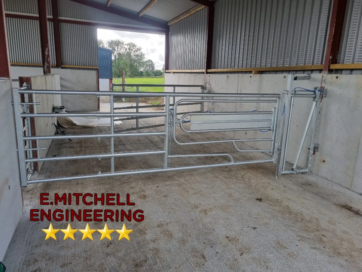 Heavy duty 3&1 calving gates. - Image 1