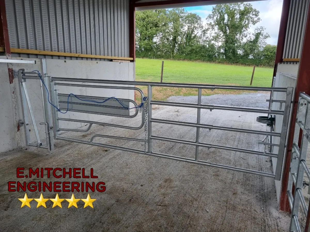 Heavy duty 3&1 calving gates. - Image 1