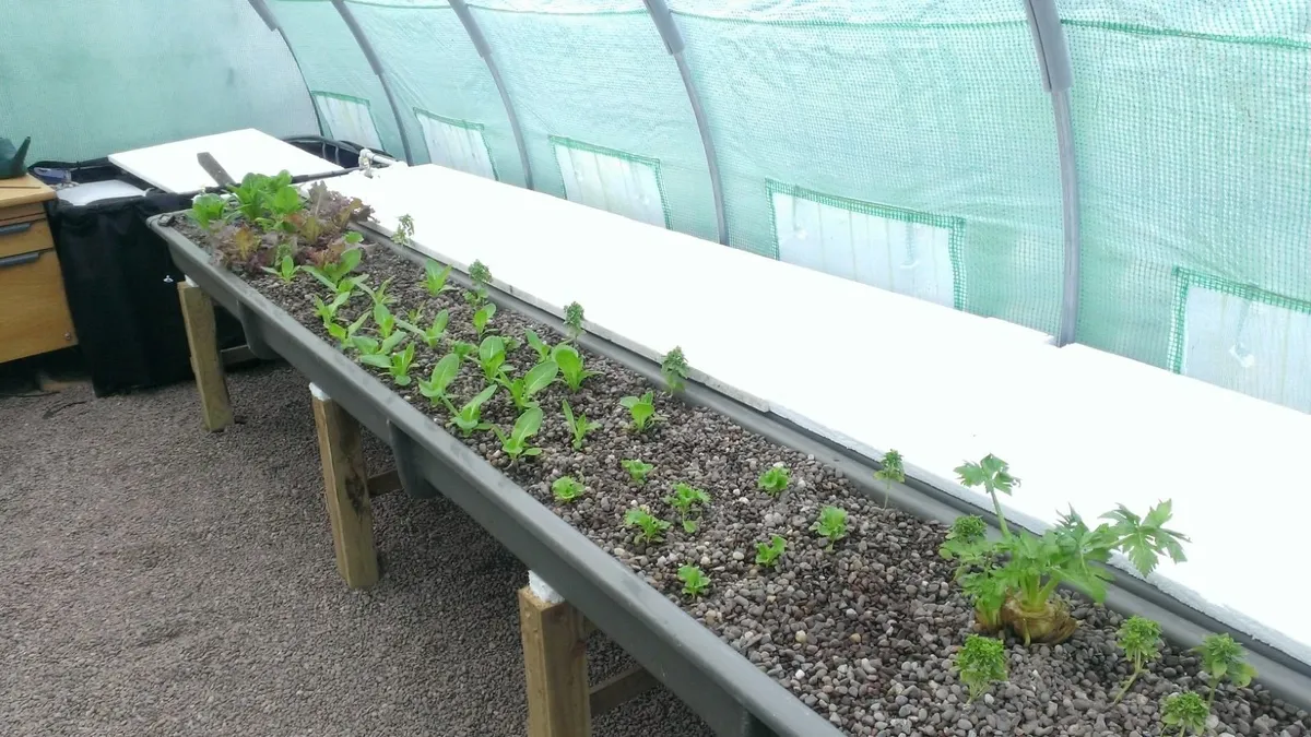 POLYTUNNEL 20FT - Image 2