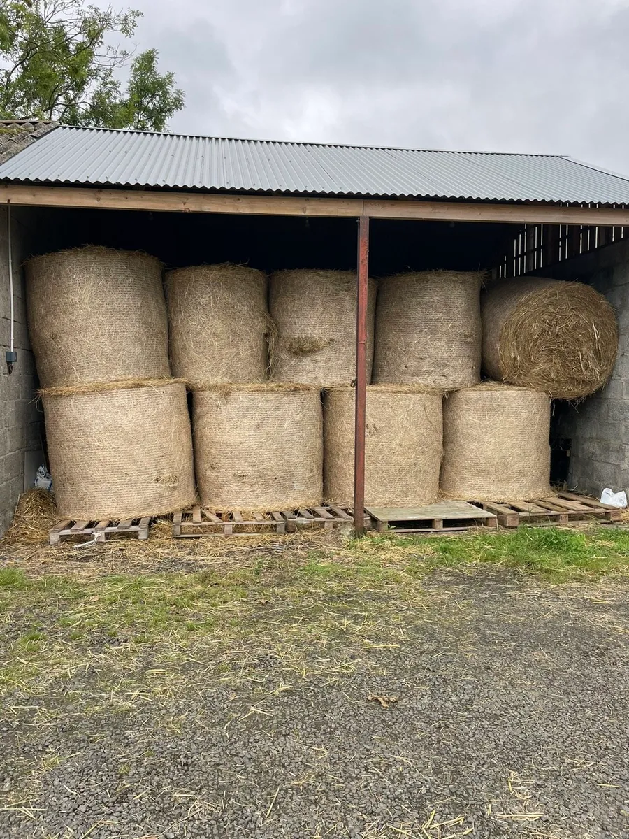 4/4 round bales of Hay. - Image 1