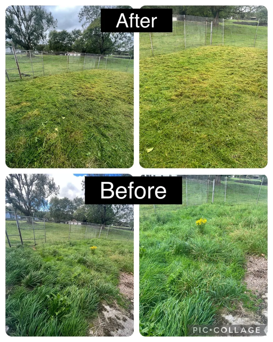 Lawn care & Gardening - Image 4