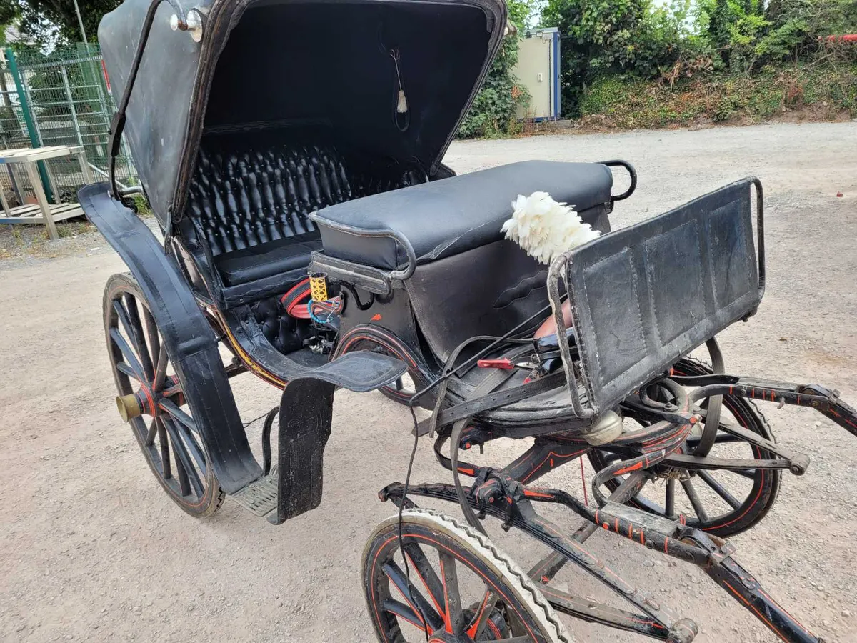 Horse drawn Carriage Vintage with Tack for sale in Co. Cork for