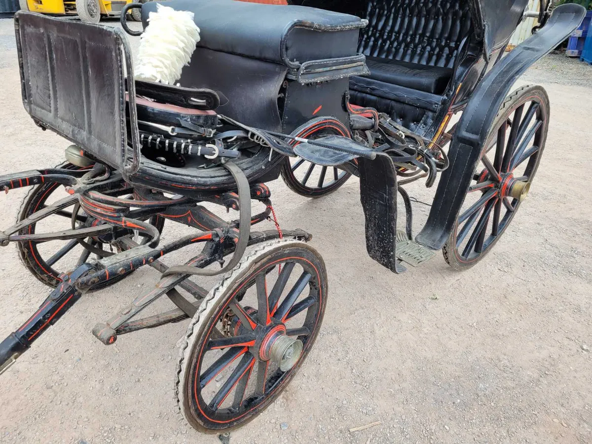 Horse drawn Carriage Vintage with Tack for sale in Co. Cork for