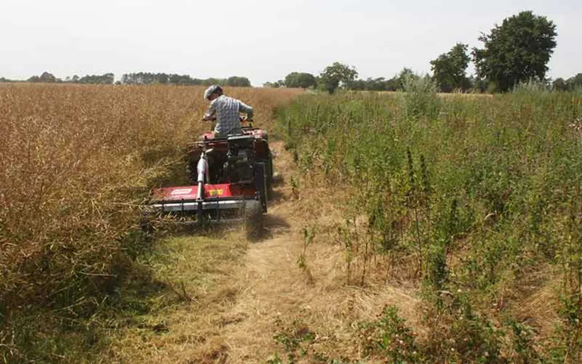 Trailed Flail Mower - Image 4