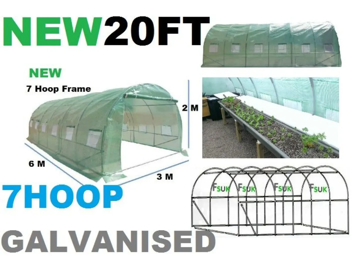 POLYTUNNEL 20FT - Image 1