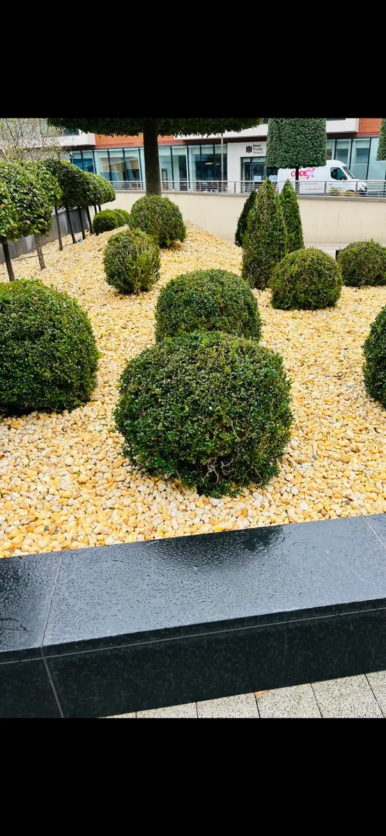 Irelands biggest supplier of Decorative stone.Chip - Image 2