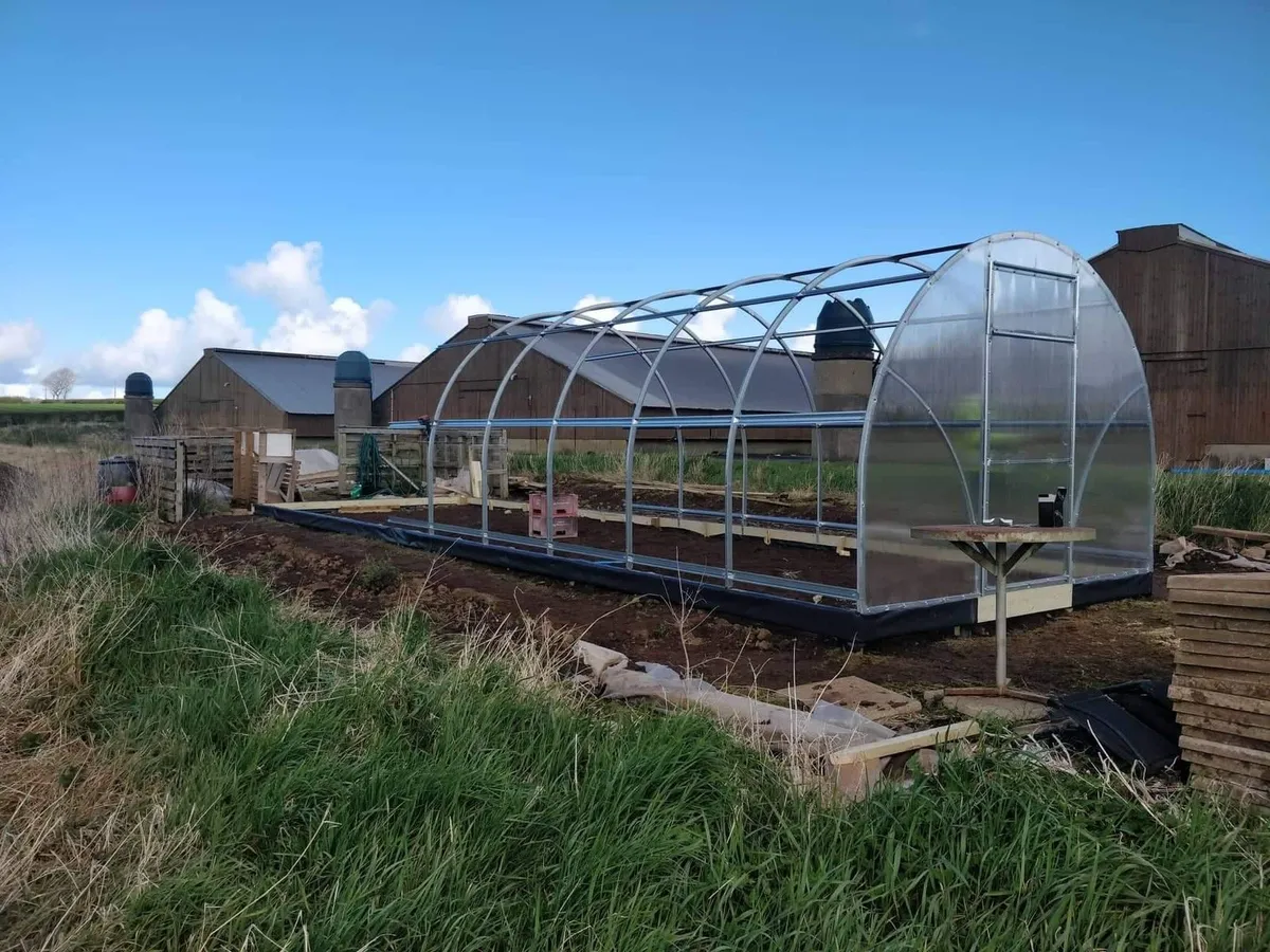 Greenhouse polycarbonate tunnel - Image 2