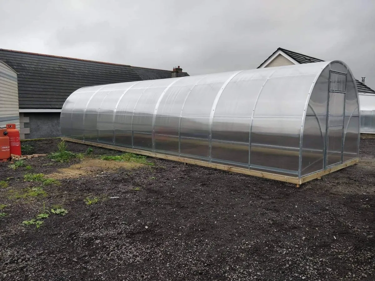 Greenhouse polycarbonate tunnel - Image 4