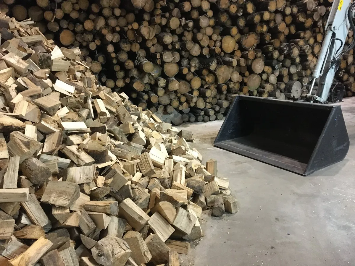 TOP QUALITY FIREWOOD - Image 4