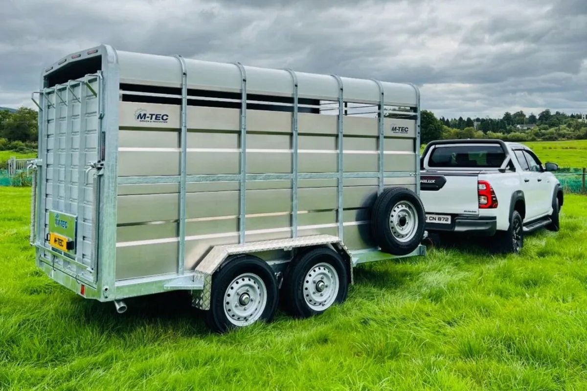 M Tec Livestock Trailers 12 X 6ft - Image 1