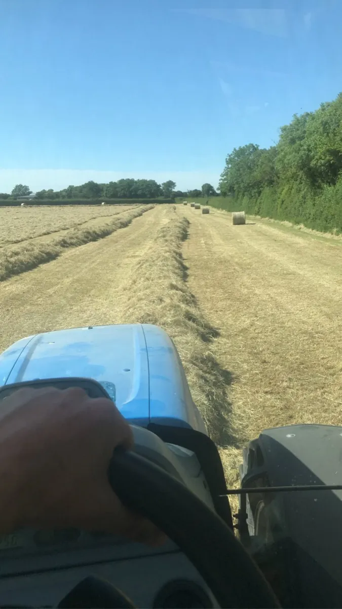 Quality hay + straw Square + round - Image 3