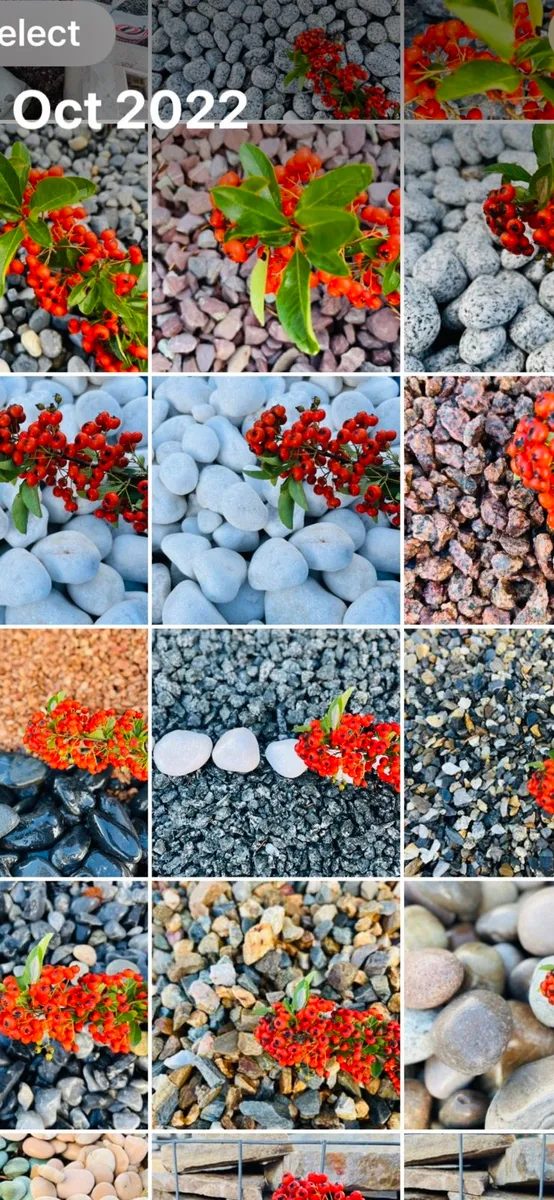 Memorial stones, polished grave pebbles - Image 1