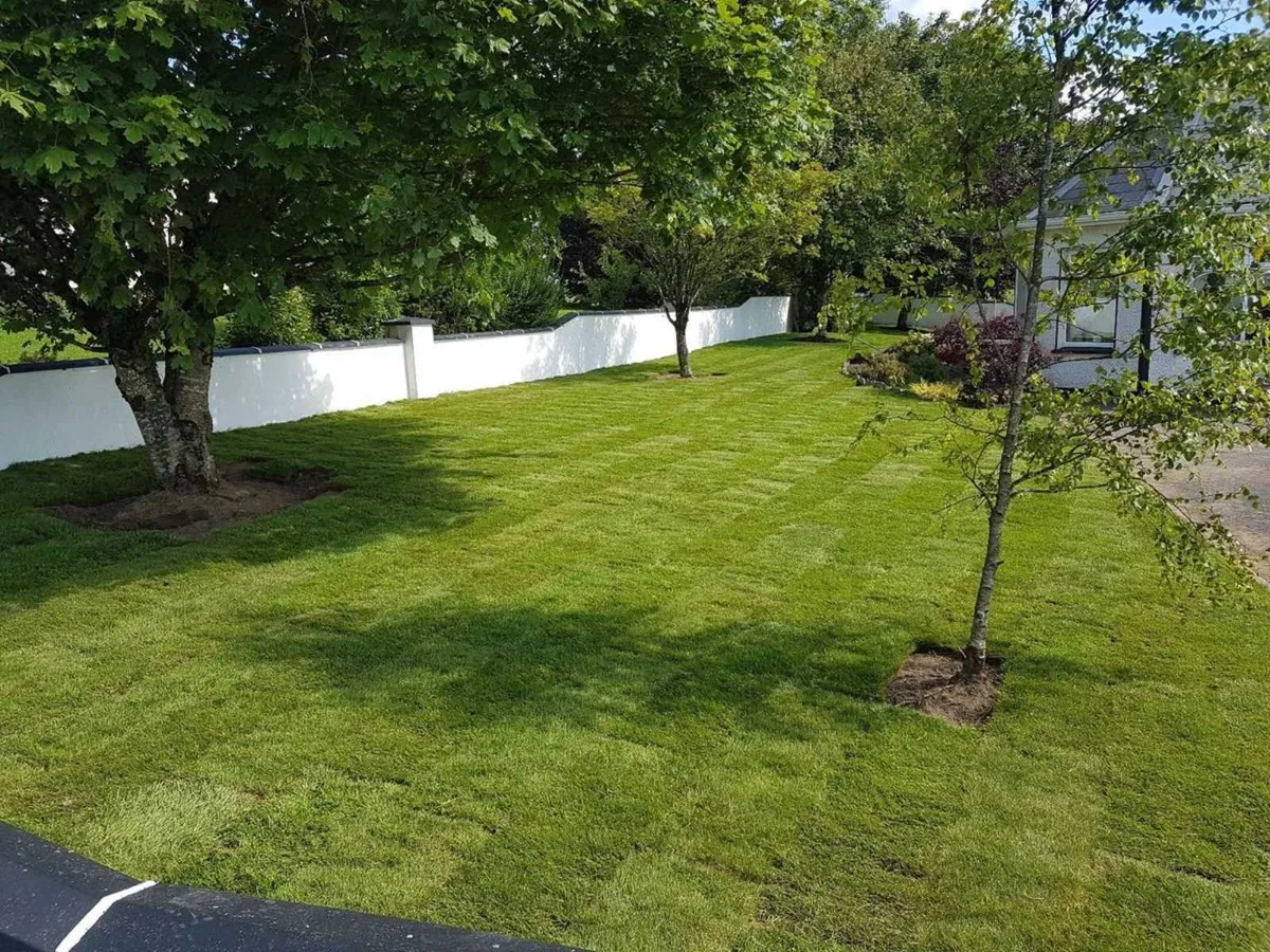 Martyn Lawns Lawn Turf Supplier - Image 4