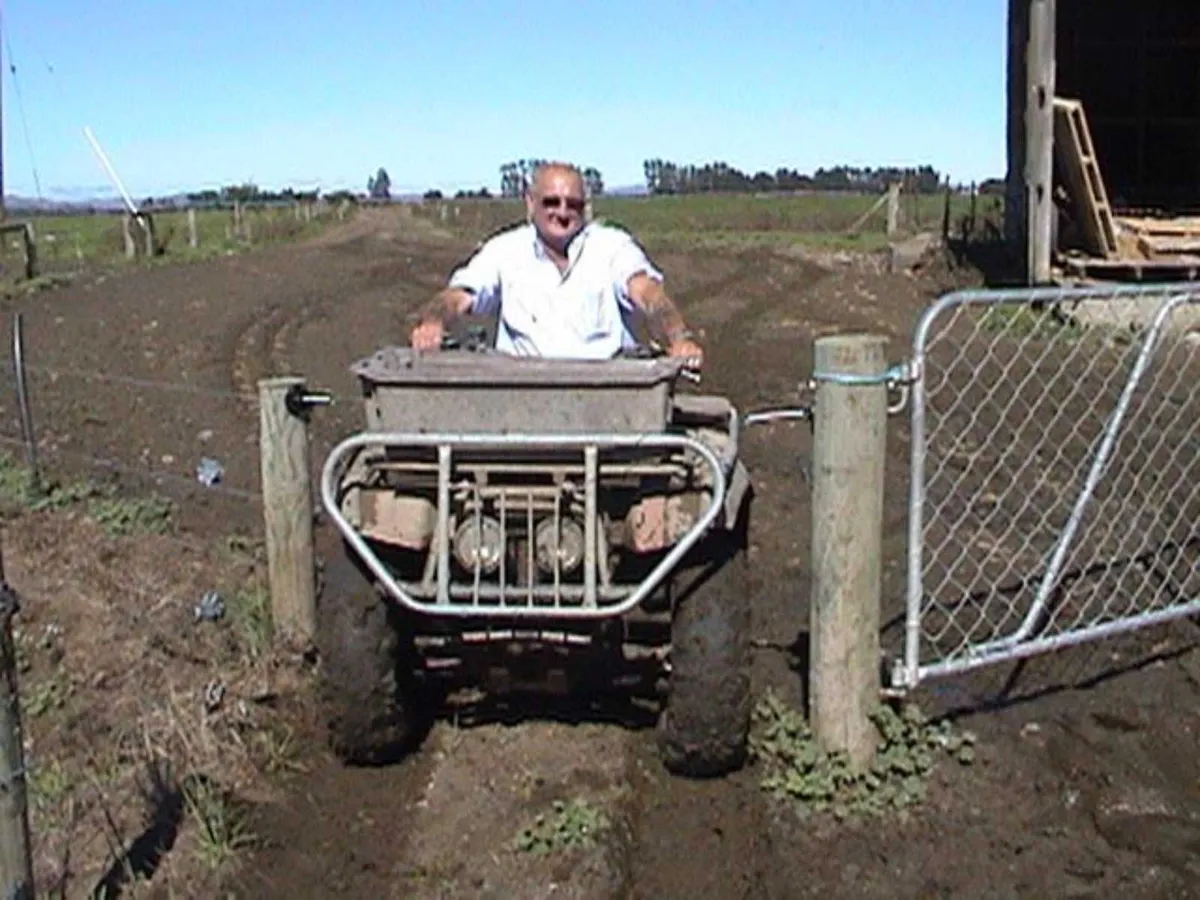 Quad Gates - Electric Wand Gates - Image 1