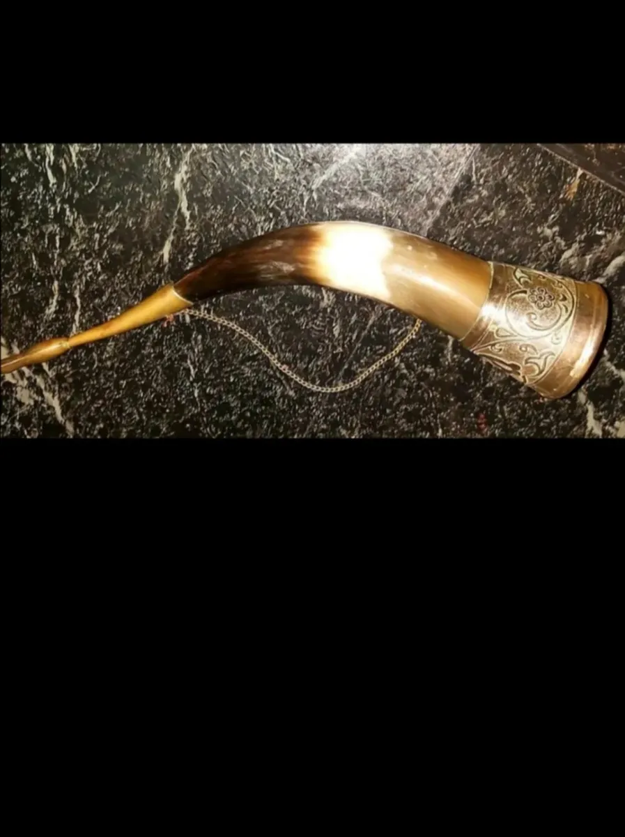 Antique Horn - Image 2
