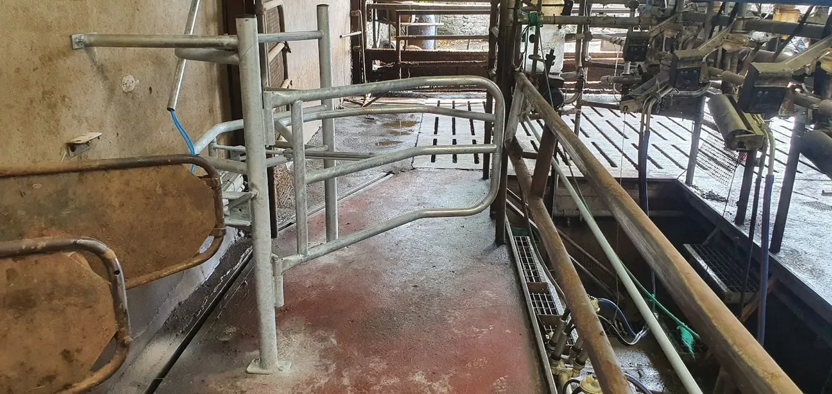 Rear Milking Parlour Air Gates