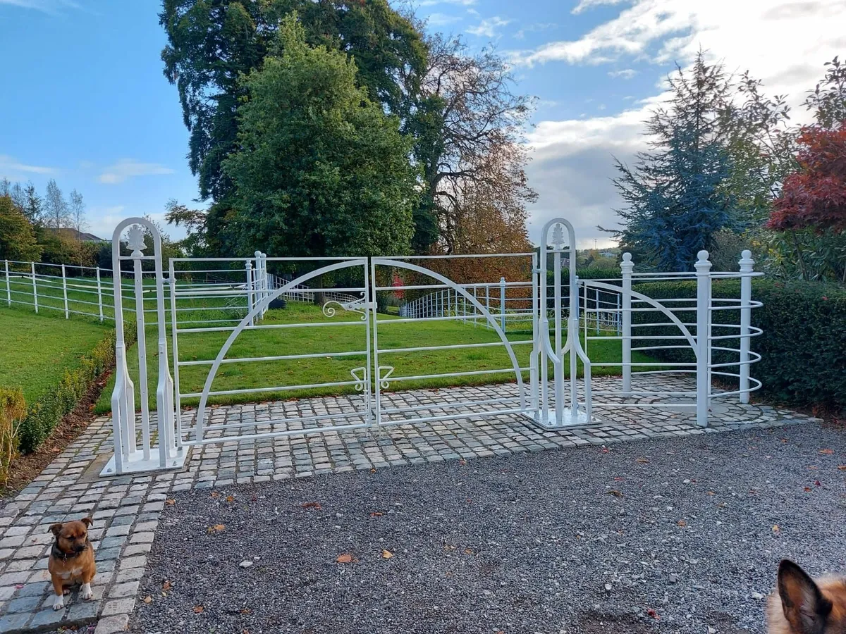 Estate Fencing & Gates - Image 1