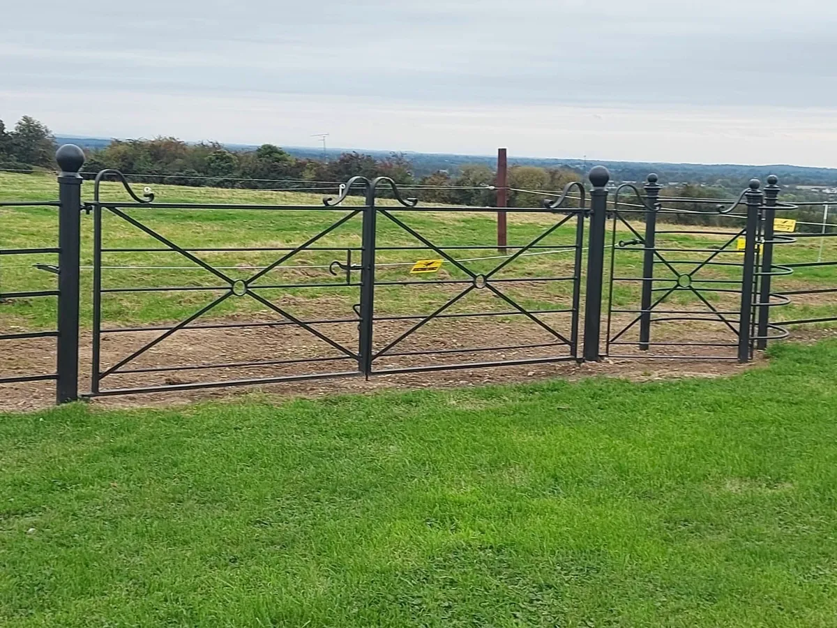 Estate Fencing & Gates - Image 4