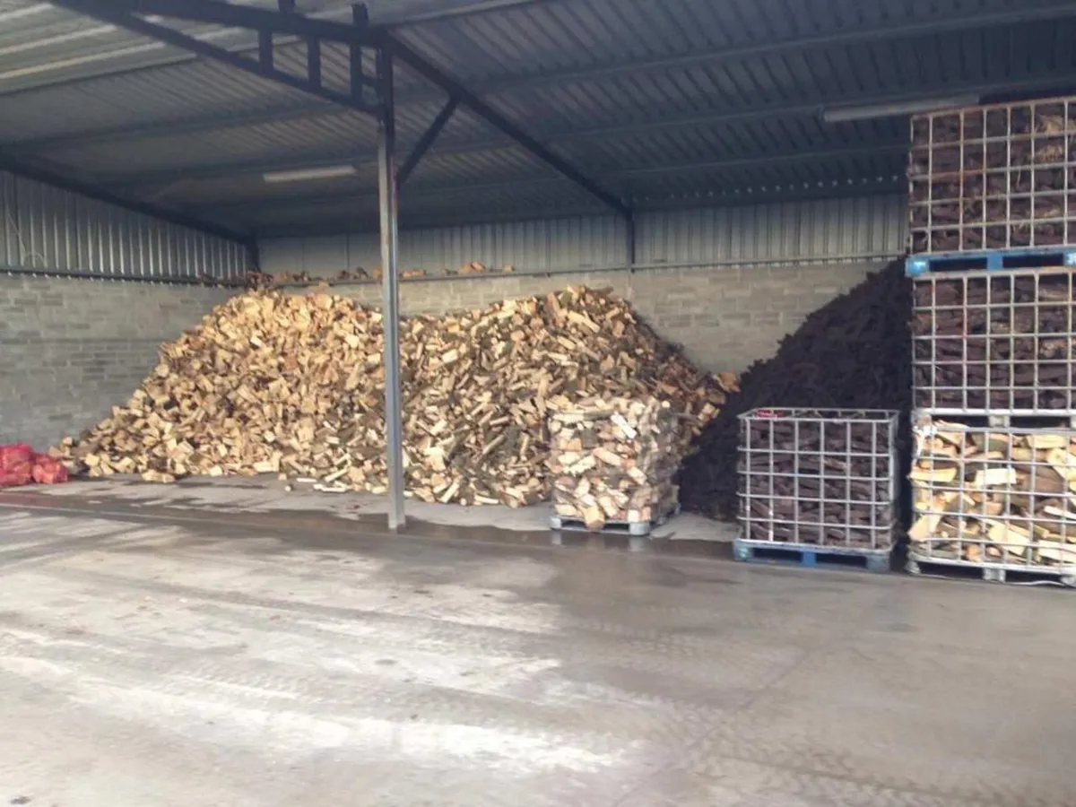 Firewood - Image 3