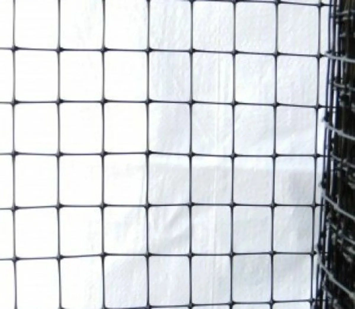 Top Netting & wire to keep out wild birds - Image 4