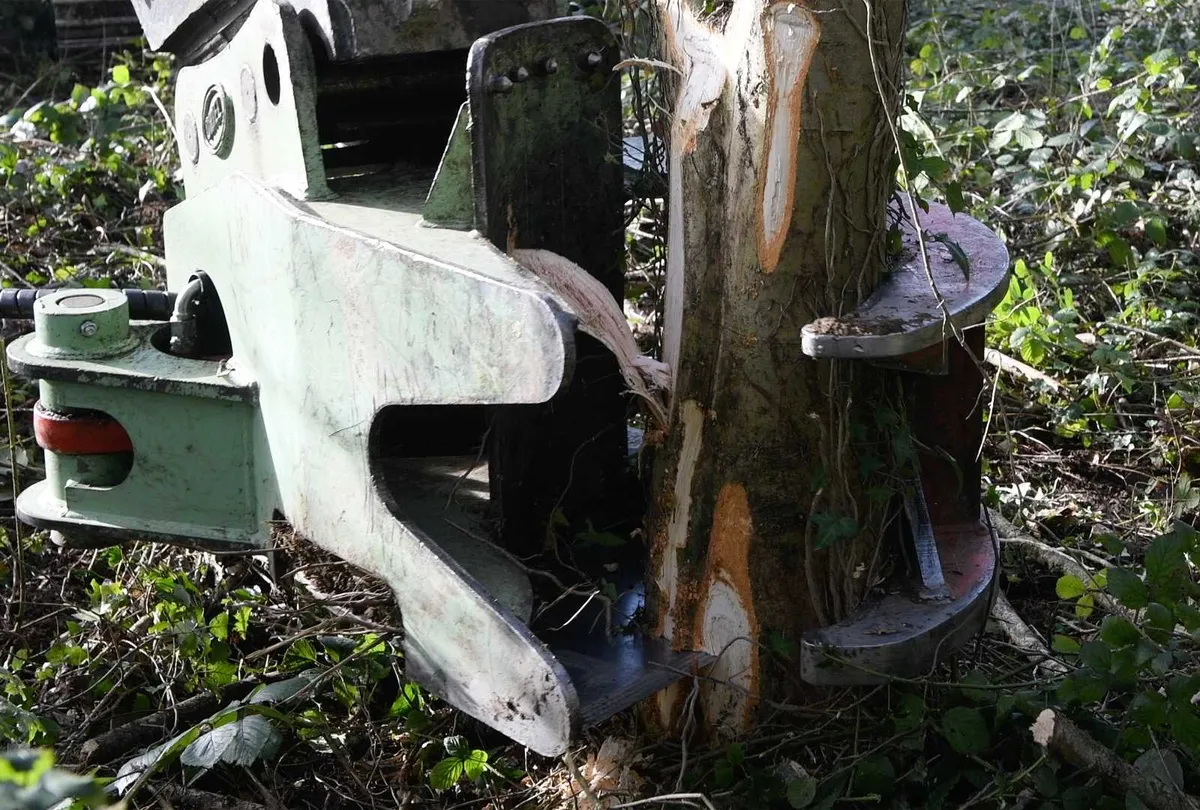 ORIEL tree Shears/Hedge cutting - Image 4