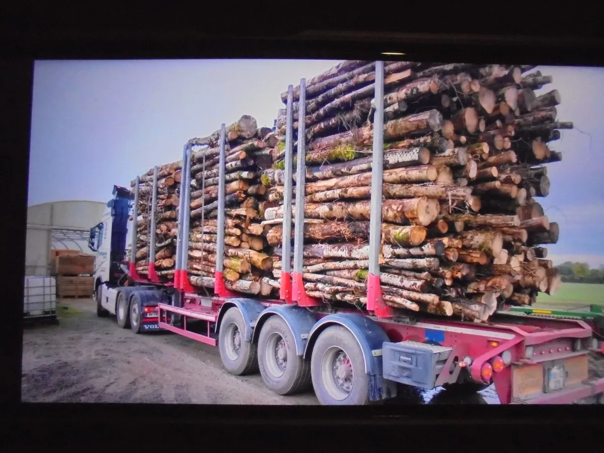 Firewood - Image 4