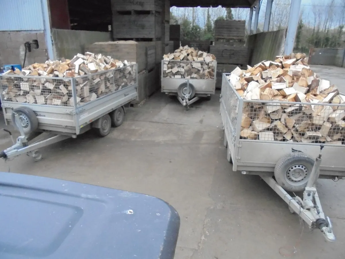 Firewood - Image 1