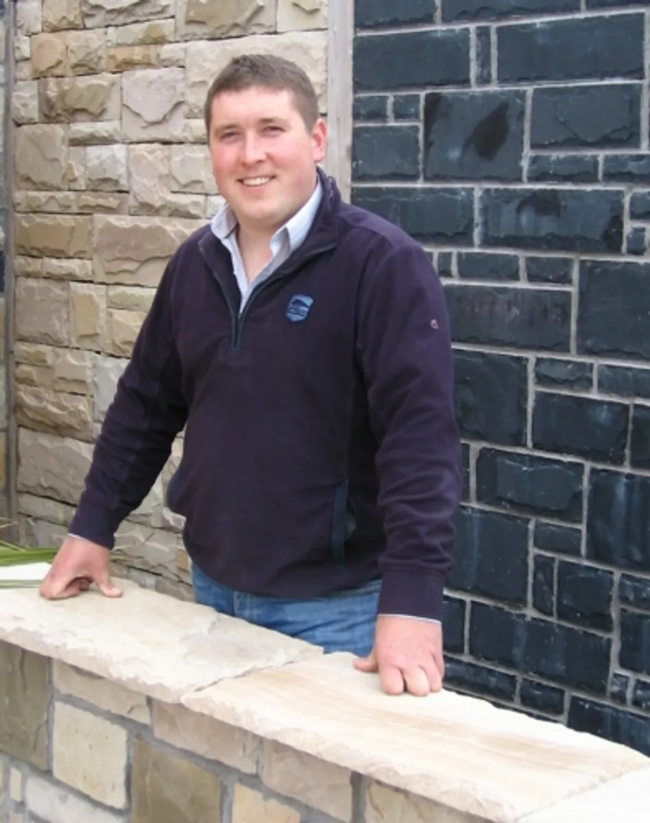 Stone Cladding ....Limestone - Image 3