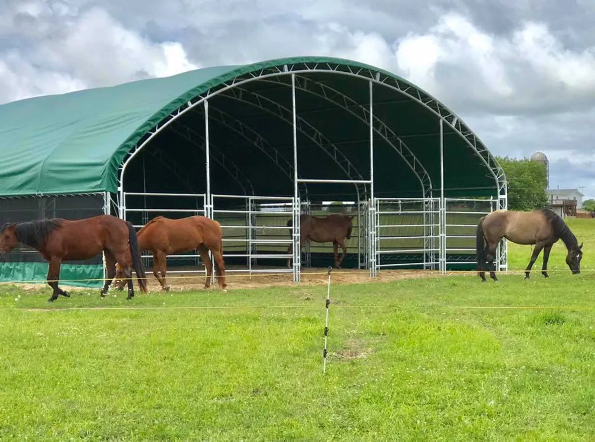 Livestock Shelter 12m x 12m - Image 2