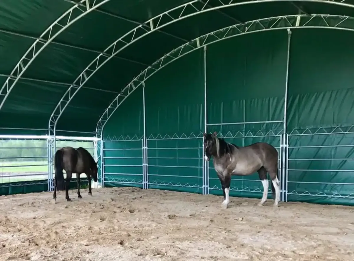 Livestock Shelter 12m x 12m - Image 3