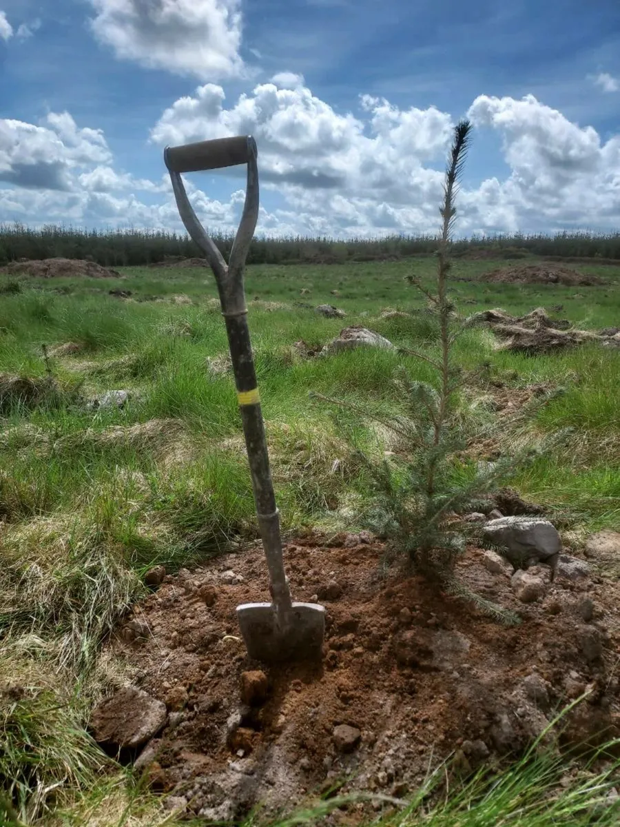 ACRES Hedge Planting - Image 1