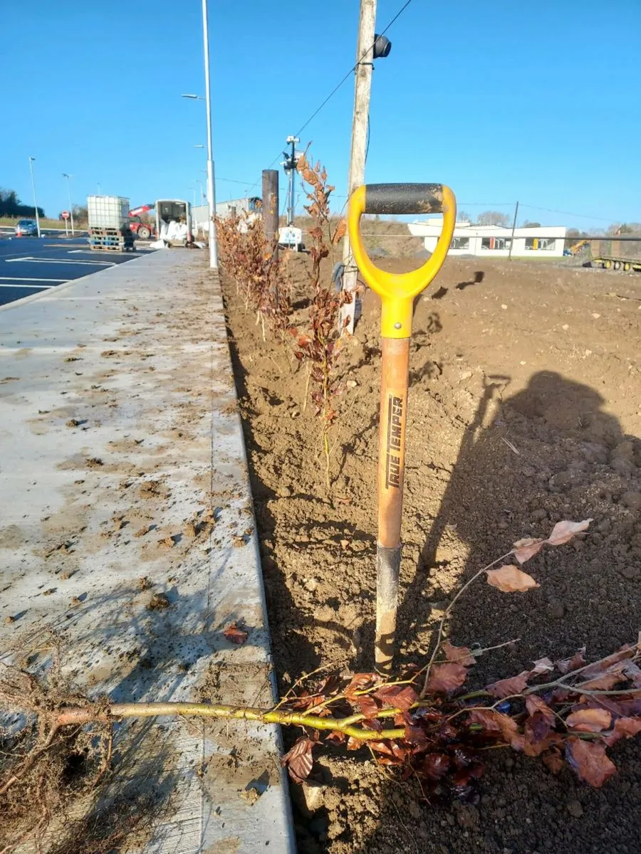 ACRES Hedge Planting - Image 2