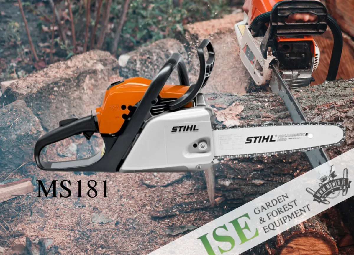 Ms181 online