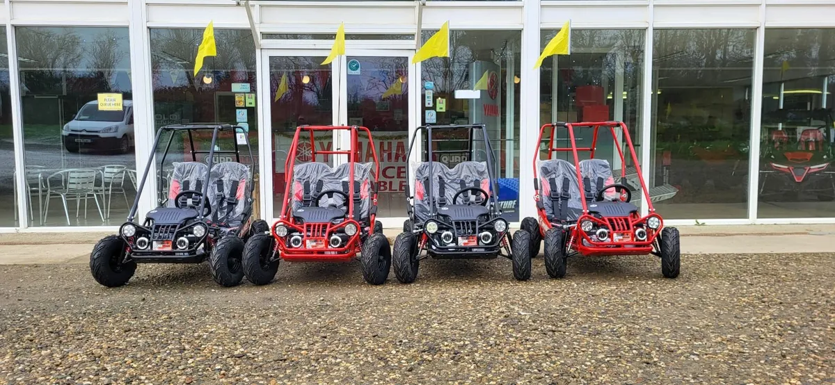 NEW QUADZILLA WOLF JUNIOR BUGGY - Image 3