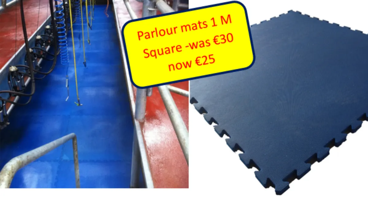 Interlocking Parlour Mats For sale at FDS