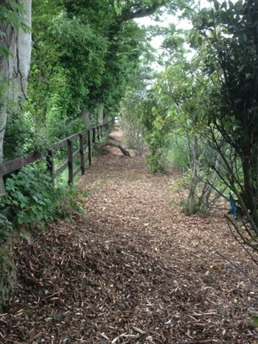 bark mulch - Image 2