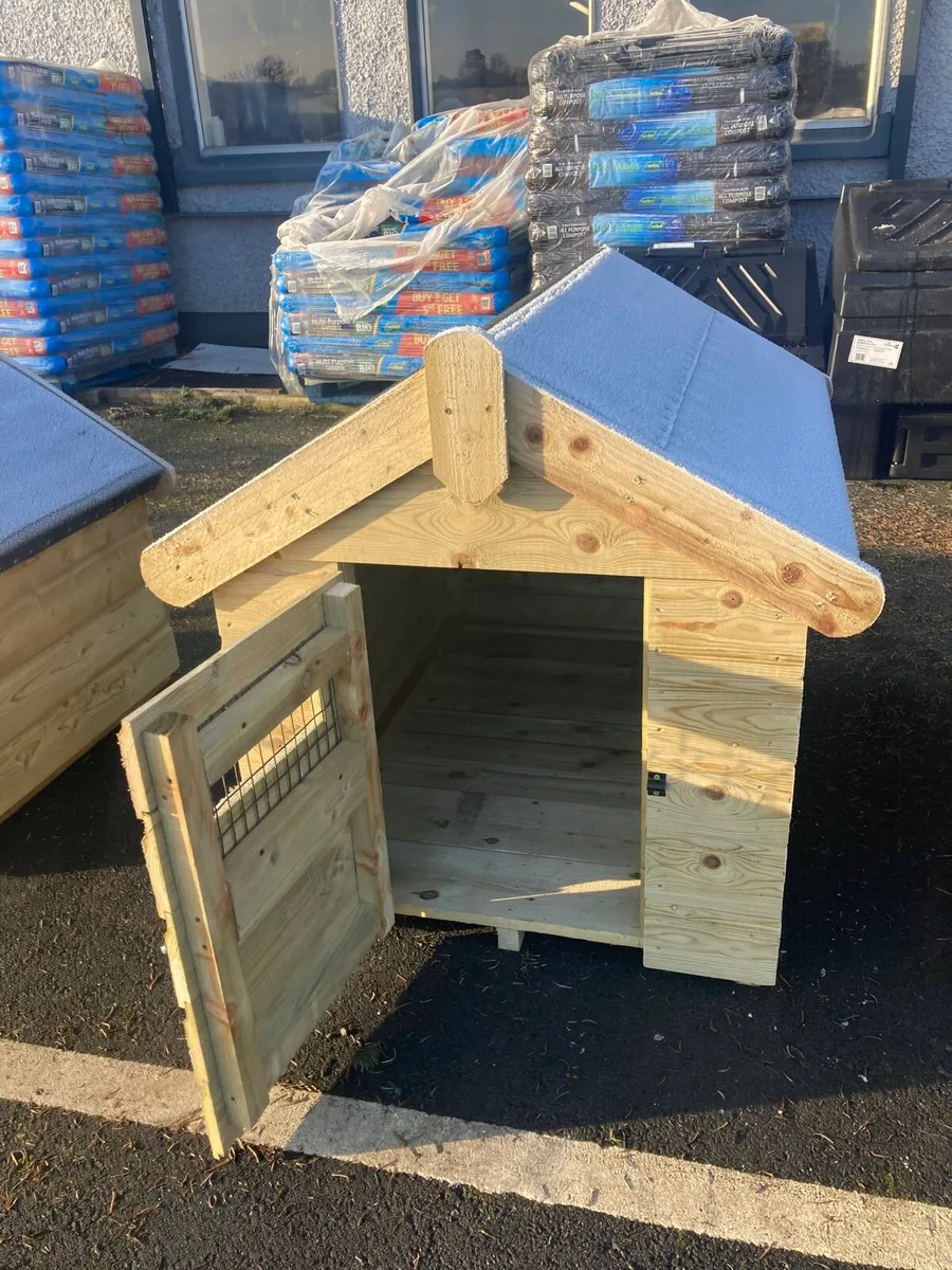 Dog box + kennels