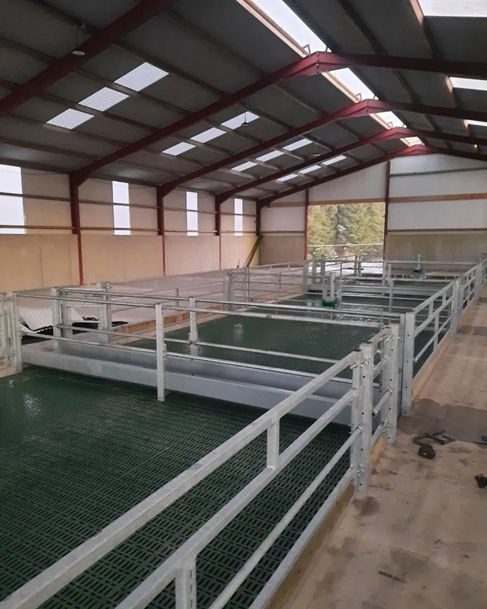 Sheep housing fit out - Image 1