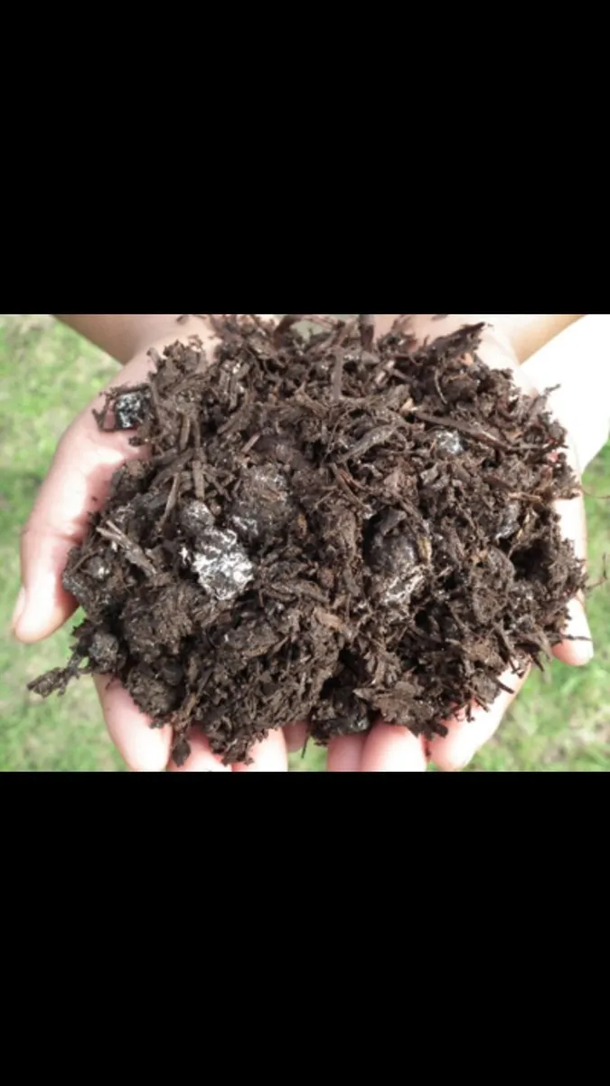 Spent organic mushroom compost - Image 2