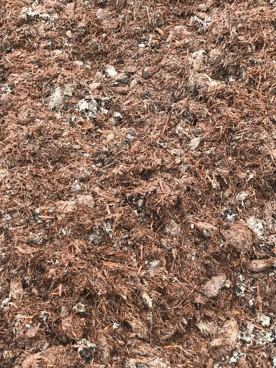 Spent organic mushroom compost - Image 3