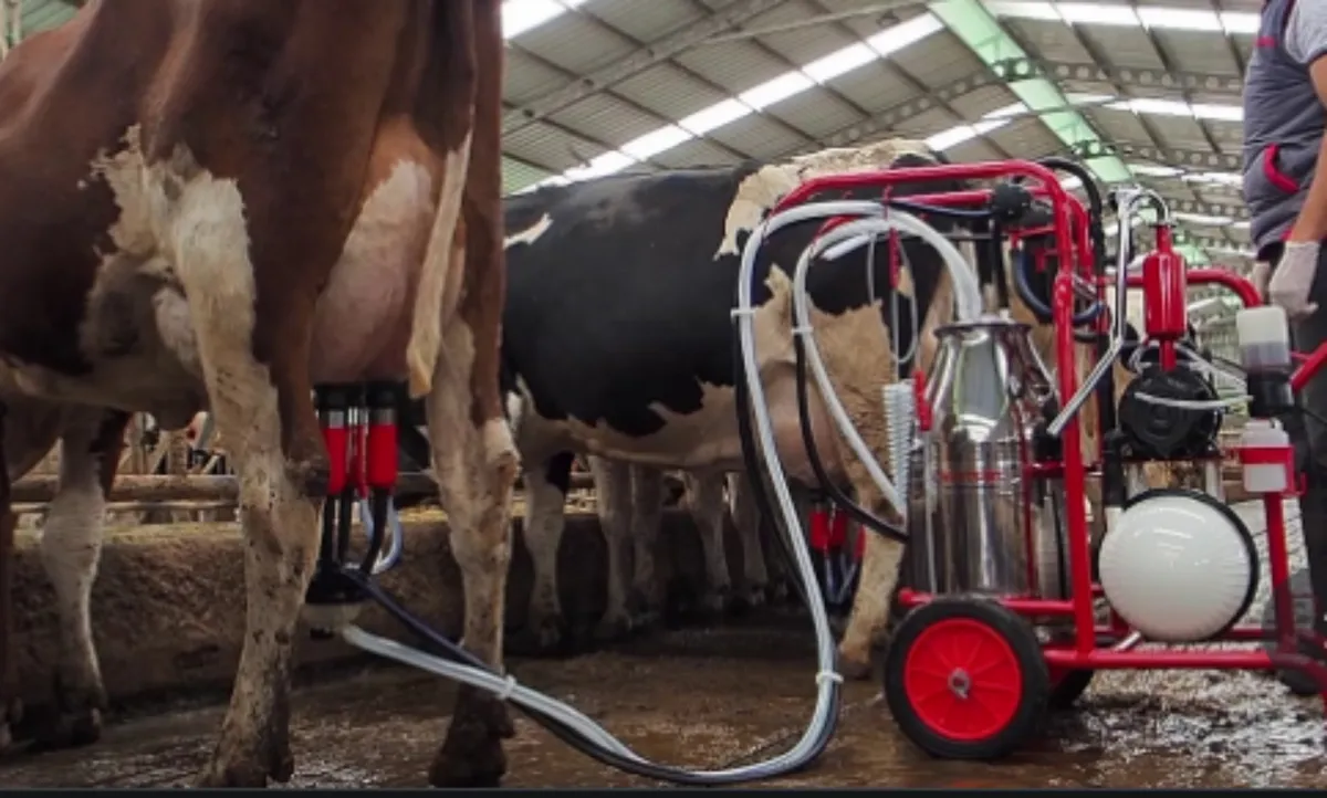 FDS Oil Run portable milker