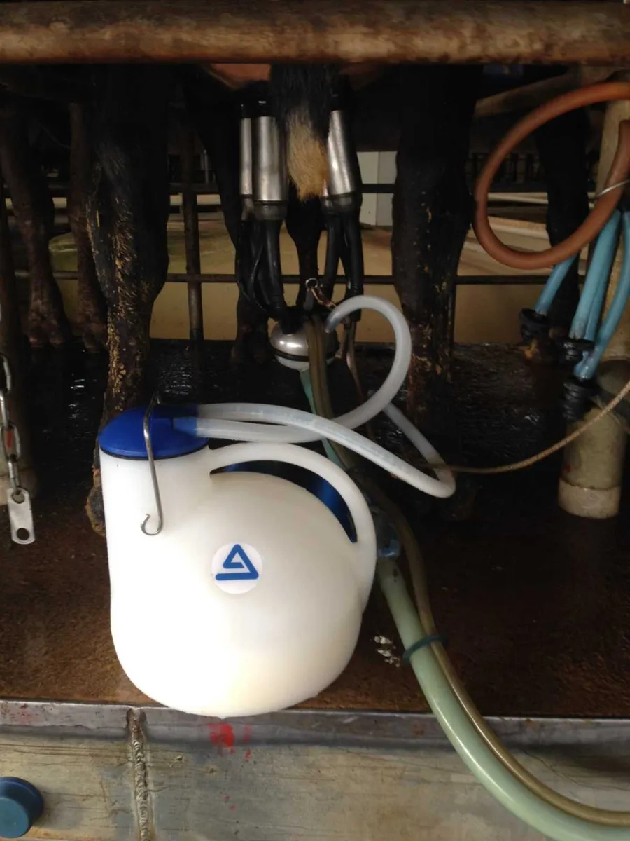 Ambic quater milker for sale at FDS