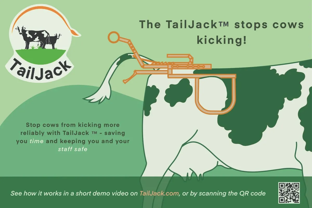 Tailjack stop kicking Calved heifer/mastitis