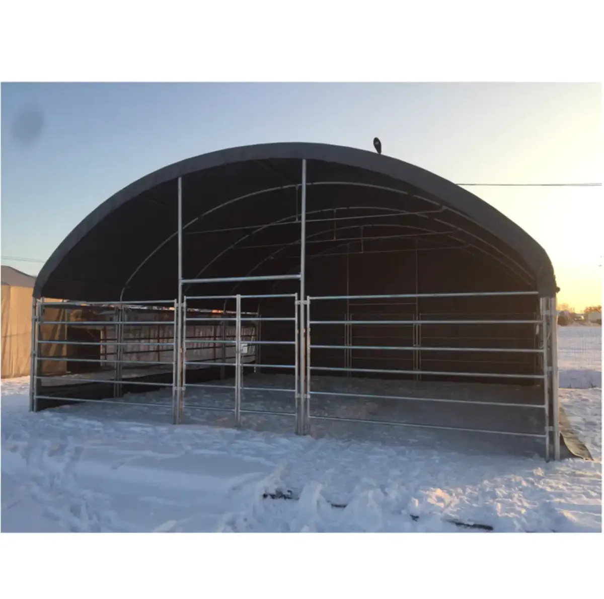 Livestock Shelter 8m x 8m - Image 2