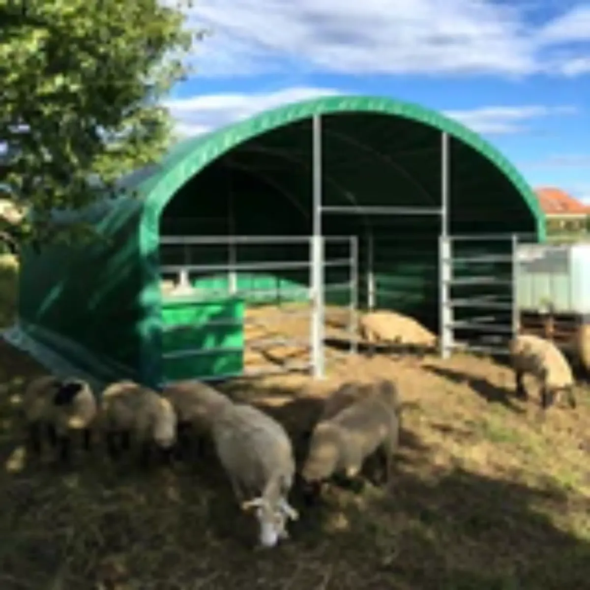 Livestock Shelter 6m x 6m - Image 3